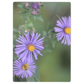 Purple Flowers Zwischenablage Klemmbrett (Rückseite)