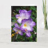 Purple Freesia Flowers Card Karte (Vorderseite)