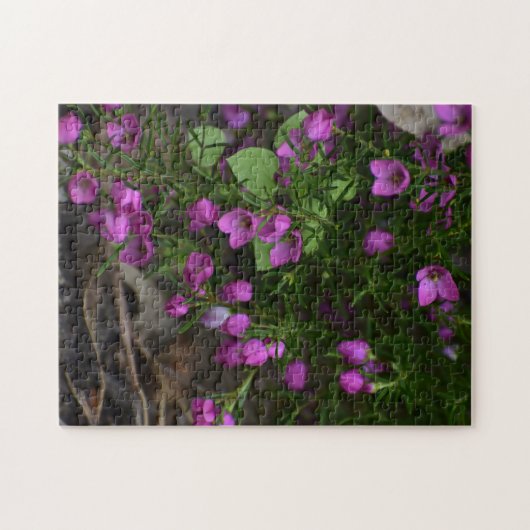 Purple Garden – A Bloom in Focus Puzzle (Horizontal)