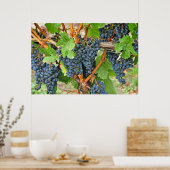 Purple grapes poster (Küche)