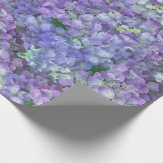 Purple hydrangea flowers geschenkpapier (Ecke)