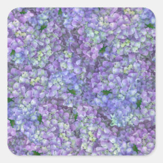 Purple hydrangea flowers quadratischer aufkleber