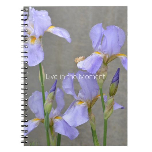 Purple Iris Flowers (my photography) Notizblock (Vorderseite)