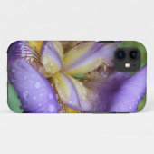 Purple Iris (Iris Germanica) Case-Mate iPhone Hülle (Rückseite (Horizontal))
