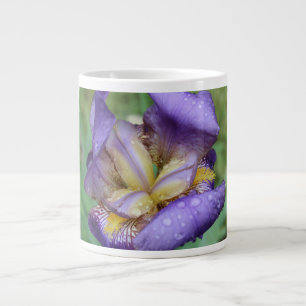 Purple Iris (Iris Germanica) Jumbo-Tasse