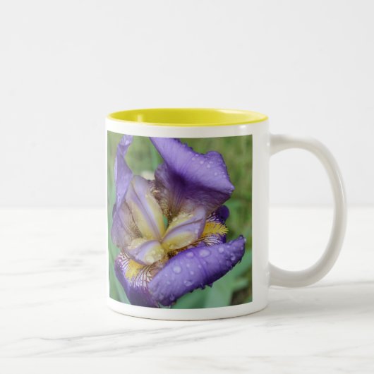 Purple Iris (Iris Germanica) Zweifarbige Tasse (Rechts)
