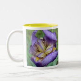 Purple Iris (Iris Germanica) Zweifarbige Tasse