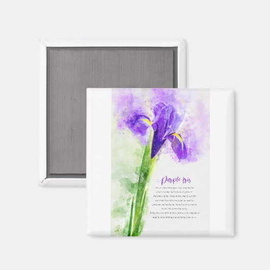 Purple Iris Magnet (Vorderseite/Rückseite)