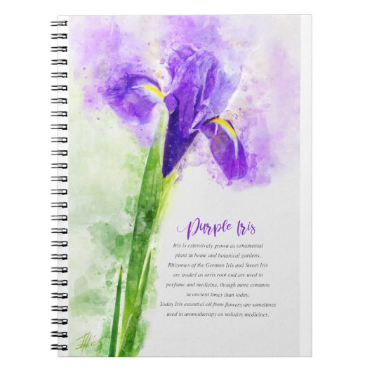 Purple Iris Notizblock (Vorderseite)