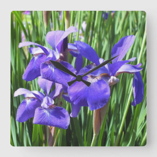 Purple Irises Clock Quadratische Wanduhr
