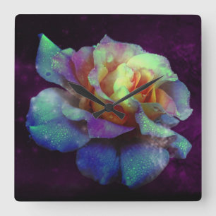 Purple Kissed Turquoise Rose Wall Clock Quadratische Wanduhr