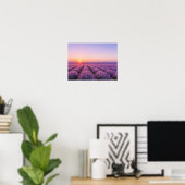 Purple Lavender Fields Poster - Provence France (Heimbüro)