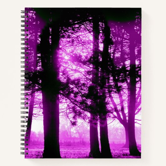 Purple Light with Silhouette Trees Notizblock (Vorderseite)
