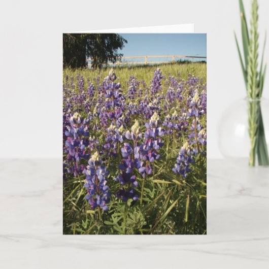 Purple Lupin Flowers Card Karte (Vorderseite)