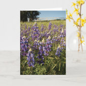 Purple Lupin Flowers Card Karte (Gelbe Blume)