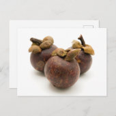 Purple Mangosteen Postkarte (Vorne/Hinten)