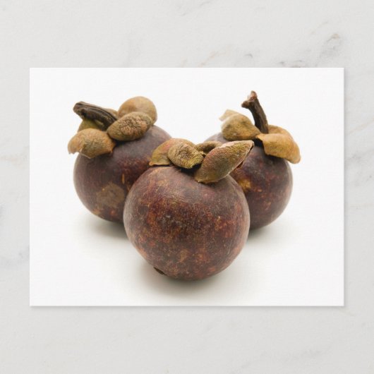 Purple Mangosteen Postkarte (Vorderseite)