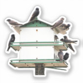 Purple Martin House Aufkleber (Vorderseite)