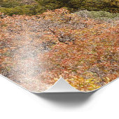 Purple Mountain Contrasts Colorado Fotodruck (Ecke)