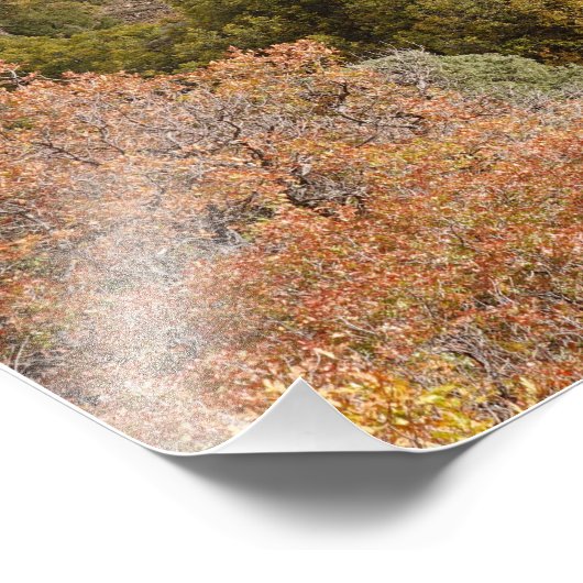 Purple Mountain Contrasts Colorado Fotodruck (Ecke)