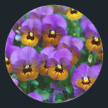 Purple Pansies Runder Aufkleber<br><div class="desc">Pansies</div>