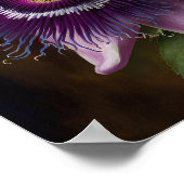 Purple Passion Flower Art Print Poster (Ecke)