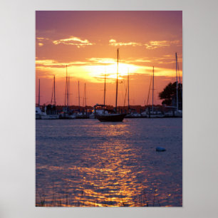 Purple Passion Sunset Poster