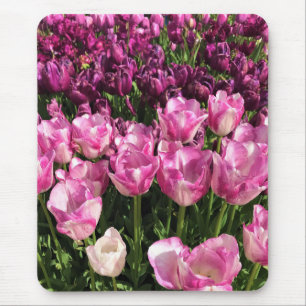 Purple & Pink Tulip Garden Bed, Oregon Mousepad
