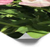 Purple & Pink Tulip Garden Bed, Oregon Poster (Ecke)