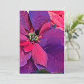 Purple Poinsettias Feiertagskarte (Stehend Vorderseite)