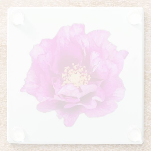 Purple Rose Glasuntersetzer (Rückseite)