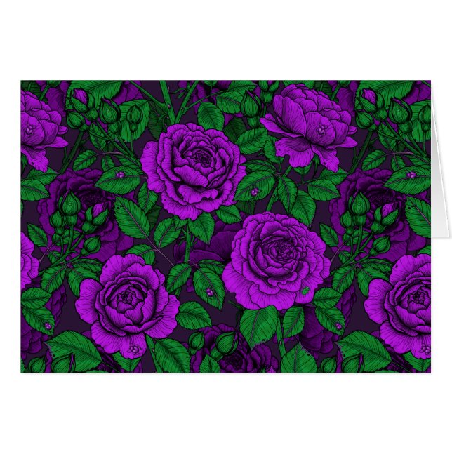 Purple Roses (Vorderseite (Horizontal))