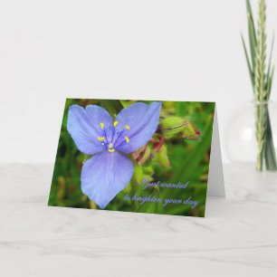 Purple Spiderwort Flower "Thinking of You" card Karte