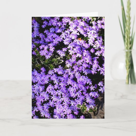 'Purple Springtime' Leere Grußkarte Karte (Vorderseite)