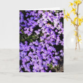 'Purple Springtime' Leere Grußkarte Karte (Gelbe Blume)