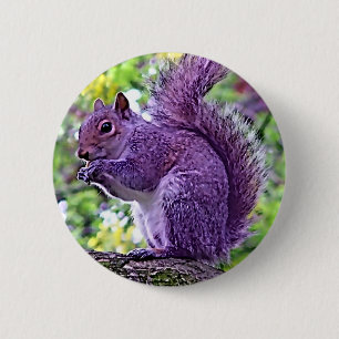 Purple Squirrel Button