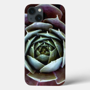 Purple Succulent Close-Up Case-Mate iPhone Hülle