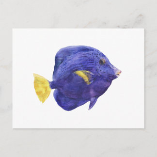 Purple Tang Fish Watercolor Illustration Postkarte