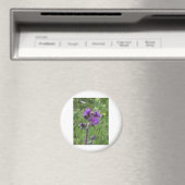 Purple Thistle Magnet (In Situ (Geschirrspüler))