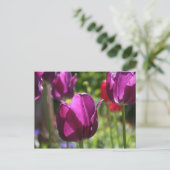 Purple Tulips 2007 Postkarte (Stehend Vorderseite)