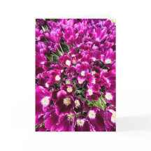 Purple Tulips Blank Card
