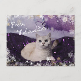 Purple XMAS Cats Feiertagspostkarte