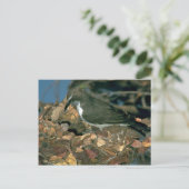 Purplebuder Sunbird Postkarte (Stehend Vorderseite)