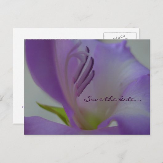 PurpleDreamFlower Save the Date Postcard Ankündigungspostkarte (Vorne/Hinten)