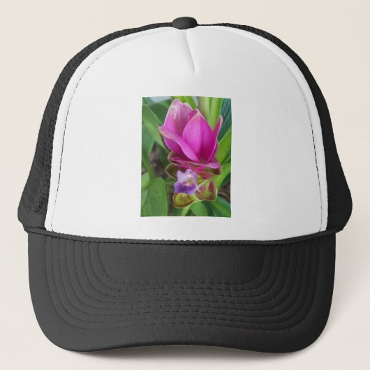 PurpleTurmeric-Blume Truckerkappe (Vorderseite)