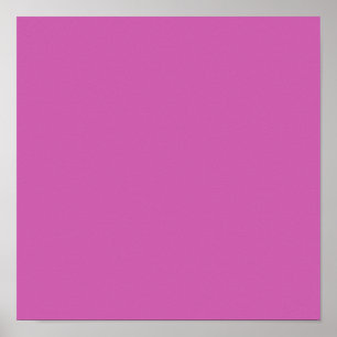 Purplisches Rosa (feste Farbe) Poster
