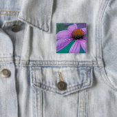 Purpur-Schwarzwurzel-Blume mit Wassertropfen Button (Beispiel)