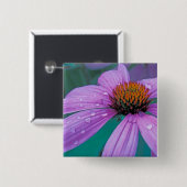 Purpur-Schwarzwurzel-Blume mit Wassertropfen Button (Vorne & Hinten)