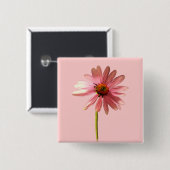 Purpur-Sonnenhut Echinacea purpurea Button (Vorne & Hinten)