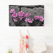 Purpurblumen Banner (Insitu)